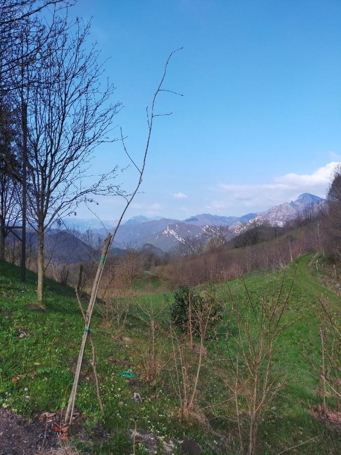 Chalet Simonetta - Locanda Da Tullio Capovalle Buitenkant foto